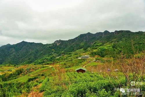 溫州這個360度的觀景平臺和茶園露營基地,休閑好去處