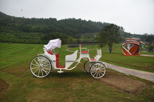 雁蕩山下又一網紅打卡點 鐵定溜溜,溜無限 很有趣
