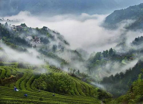 溫州佛教傳奇故事 藏在永嘉東嶂村的道濟 濟公 禪寺