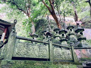 風起長林雁蕩山