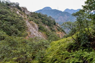 樂清 雁蕩山 響嶺頭