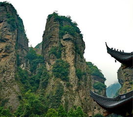 去溫州旅游有什么值得去的景區嗎