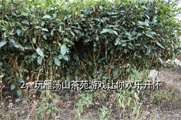 天方茶苑,微信紅包充游戲茶苑銀子