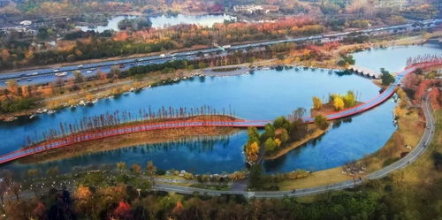 天府綠道已長達2607公里 今年還要開工建設這么多