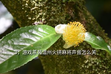 天方茶苑,微信紅包充游戲茶苑銀子