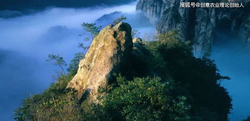 創(chuàng)意農(nóng)業(yè)頭條推薦丨樂(lè)清這個(gè)地方花開(kāi)得正盛,賞花線路新鮮出爐