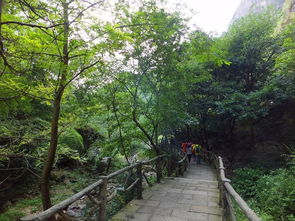 雁蕩山三日休閑游