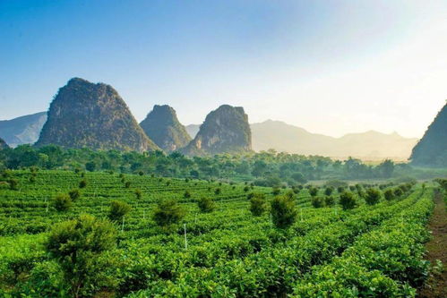 喜訊 英德又一景區(qū)將被認(rèn)定為省示范點(diǎn),是你的家鄉(xiāng)