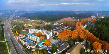 多圖預(yù)警 貴安的秋,簡(jiǎn)直美翻了