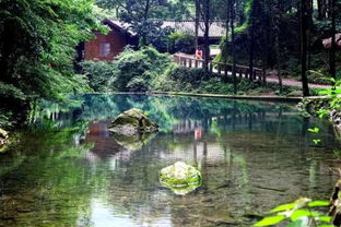 森林旅游一年好時(shí)節(jié) 購(gòu)一卡通領(lǐng)微信紅包 免費(fèi)入住森林公園