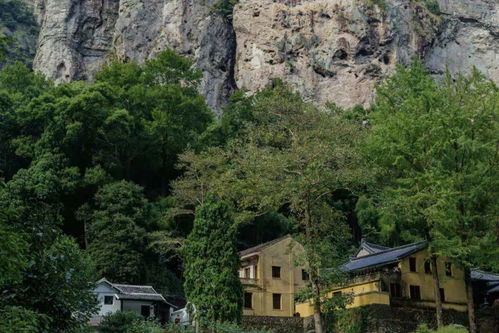 畫 事 雁蕩山 東南形勝 上