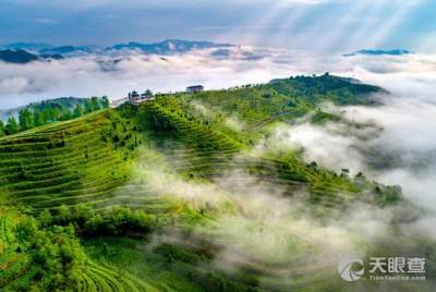 貴州獨山石牛食品有限責任公司
