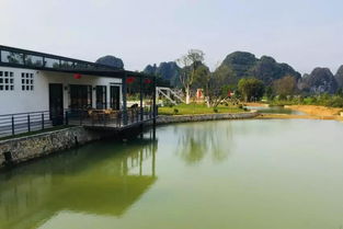 t三有機茶園茶文化 旅游解密