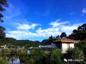 春季茶園美如畫,好山好水出好茶