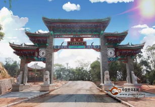 魅力茶山——探秘易武國有林 刮風寨、白茶園與雁蕩山茶苑的茶王樹傳奇