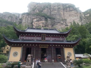 大王叫我來巡山 雁蕩武夷三人行，人間至味在茶苑