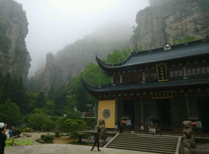 雁蕩山茶苑 尋一縷茶香，品一方山水