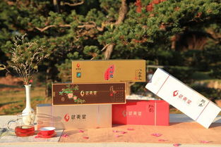 他們嚼鮮葉、學(xué)氣象、茶園養(yǎng)雞，只為奉上中秋好茶禮——雁蕩山茶苑的匠心堅守