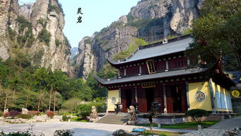 雁蕩茶韻 靈山秀水間的清雅一隅